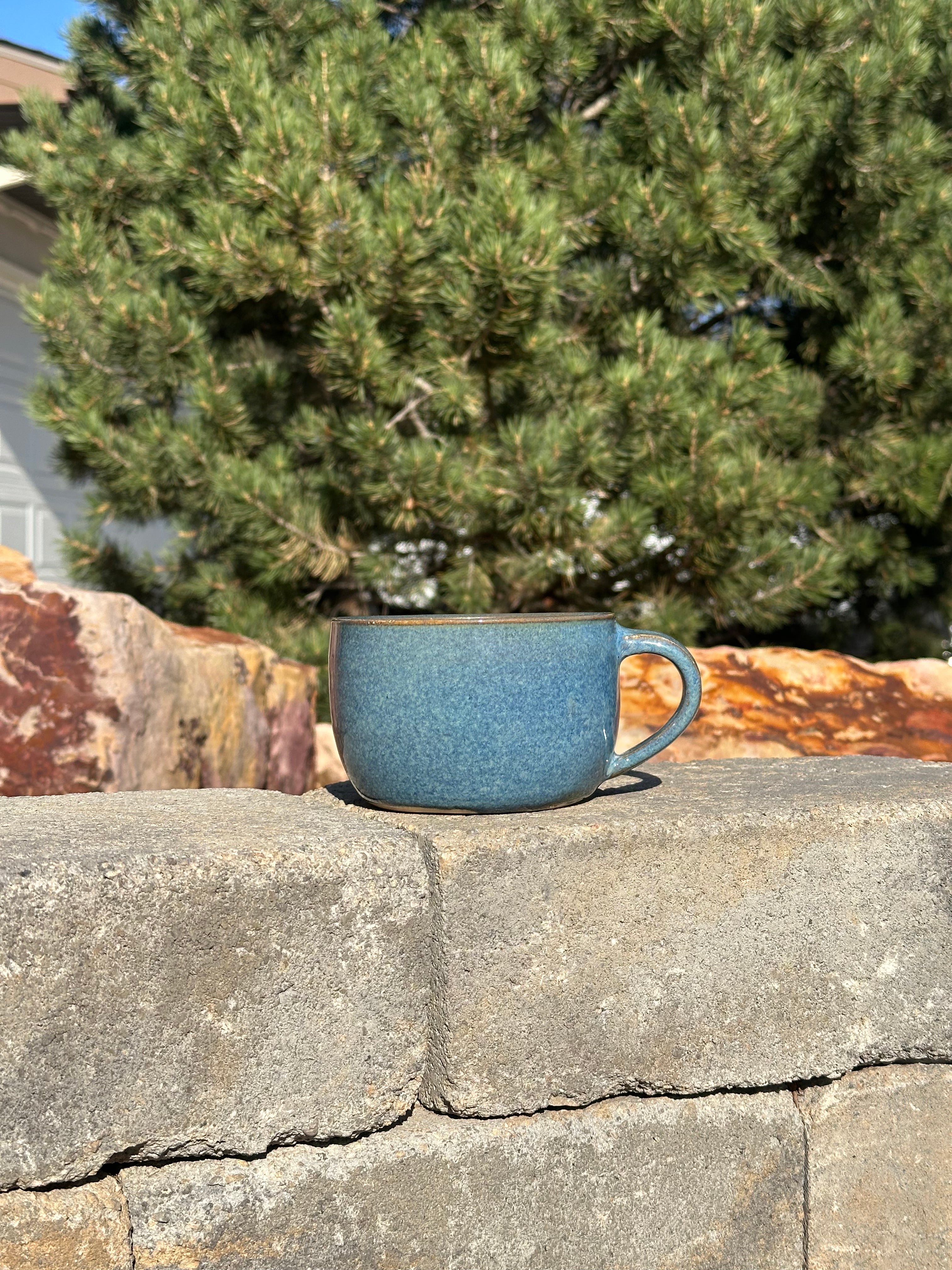 California Gull - 17 oz