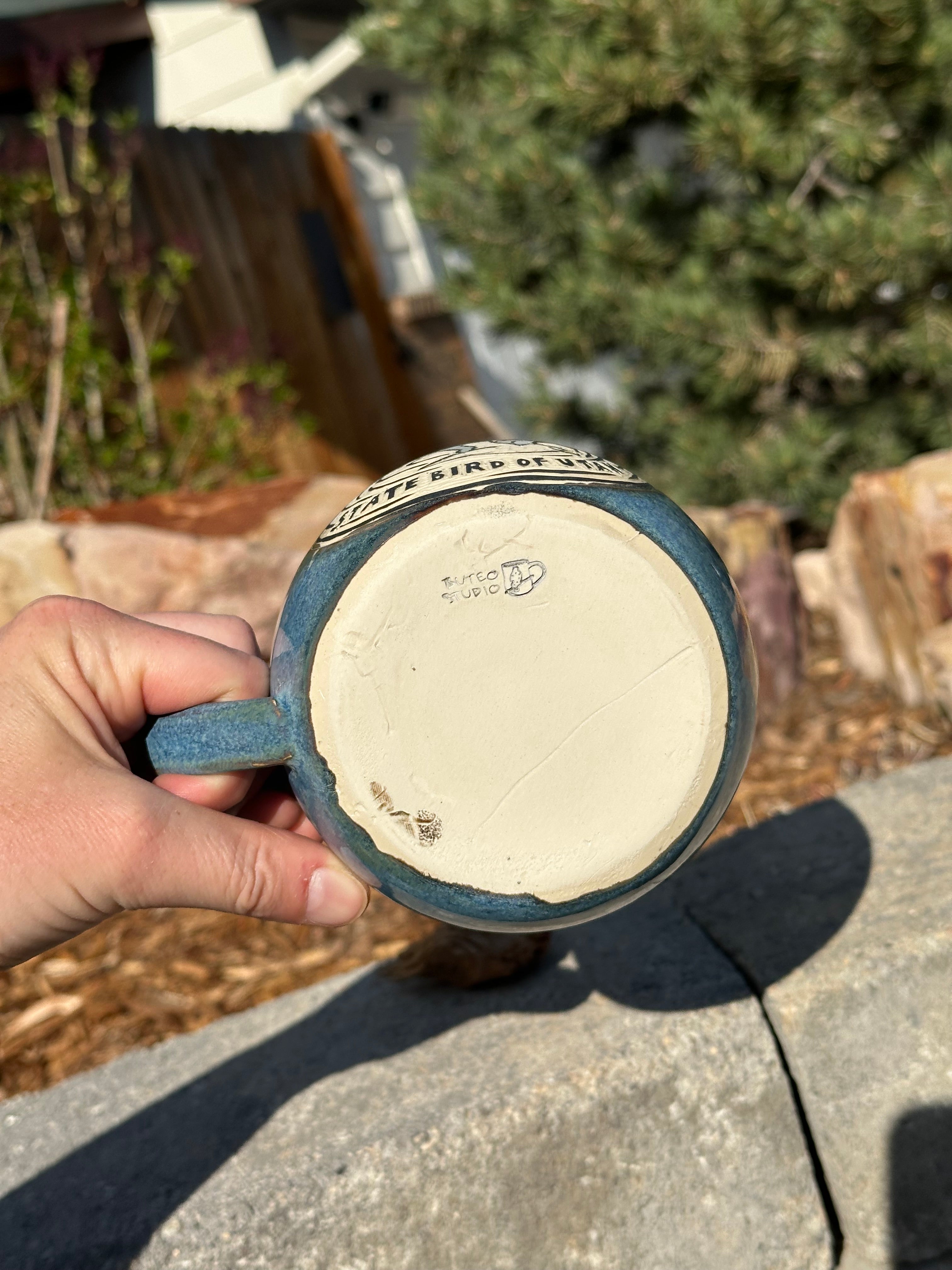 California Gull - 17 oz